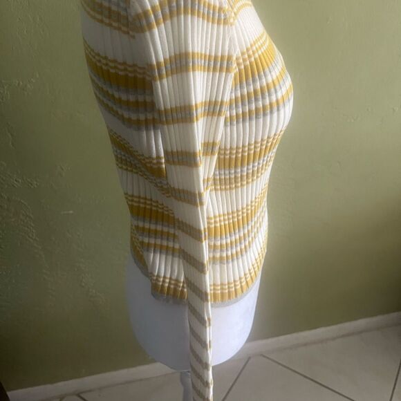 Express Mustard and White Striped Sweater - Picture 2 of 5